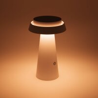 LedDoo SmartLumin Solar LED Tischleuchte ROME  Steuerbar per App „Smart Garden“ über Bluetooth