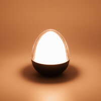 LedDoo SmartLumin Tischleuchte OVALIGHT