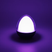LedDoo SmartLumin Tischleuchte OVALIGHT