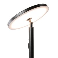 LedDoo SmartLumin Solar LED Stehleuchte AURORA IP44 mit Solarpanel und Powerbank Steuerbar per App „Smart Garden“ über Bluetooth