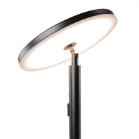 LedDoo SmartLumin Stehleuchte AURORA IP44 mit Solarpanel und Powerbank