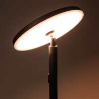 LedDoo SmartLumin Stehleuchte AURORA IP44 mit Solarpanel und Powerbank