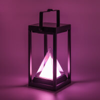 LedDoo SmartLumin Tischleuchte PYRA TL-2